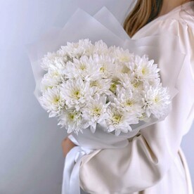 Букет из 5 хризантем кустовых