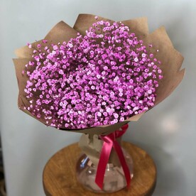 Розовое облачко гипсофилы