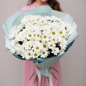 Ромашки (поляна из хризантем)