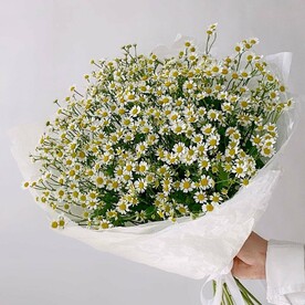 Большой букет  полевых ромашек