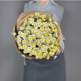 Свёрточек ромашек