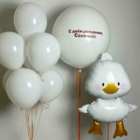 Веселый гусь