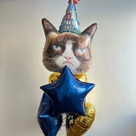Фонтан шаров Сердитый кот