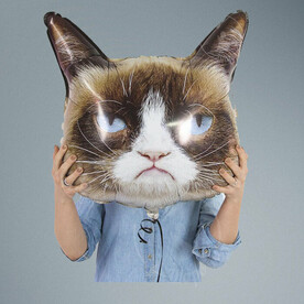 Шар Сердитая Кошка