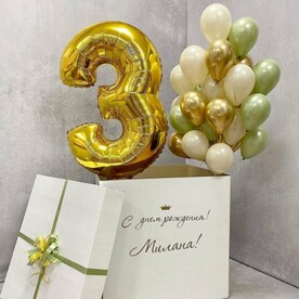 Шары в коробке Золотая фисташка