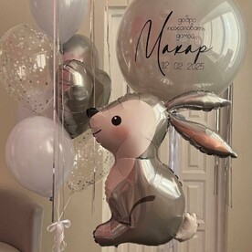 Шары на выписка из роддома Лесной друг