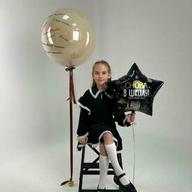 Шары в школу Сново в школу