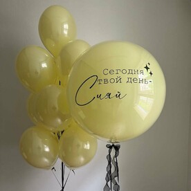 Шары для девушки Солнечный день