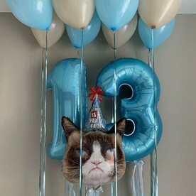Шары для мальчика Кошка