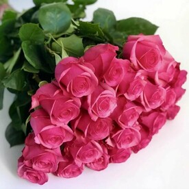 Букет из 25 малиновых роз (Фуксия)