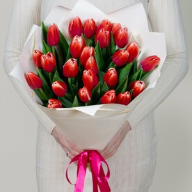 Букет из 25 малиновых тюльпанов