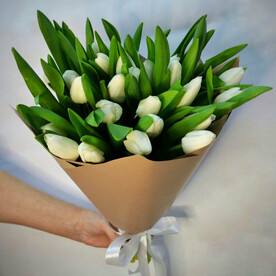 Букет из 25 белых тюльпанов Голландия