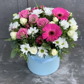 Нотка мечты