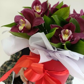 Орхидеи в коробке