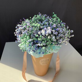 Конус с гипсофилой