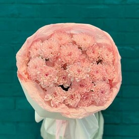 Нежные кустовые хризантемы