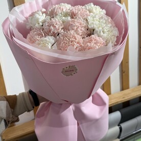 Нежные диантусы