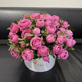 Пионовая клумба