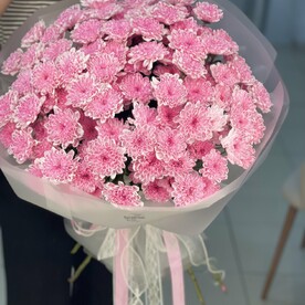 Огромный букет из 19 кустовых хризантем, розовый