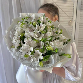 Белая альстромения букет