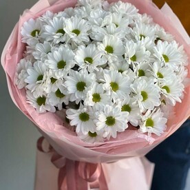 Букет из 7 ромашковых хризантем