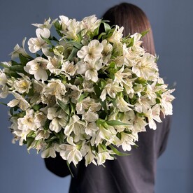 Букет гигант из альстромерий