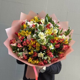 Разноцветная альстромерия