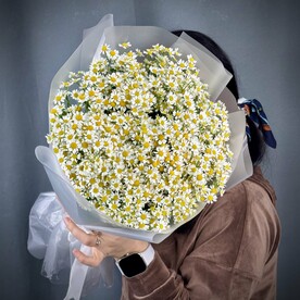 Полевая ромашка