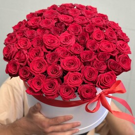 51 красная Роза в коробке