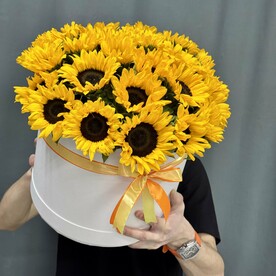 25 подсолнух в шляпной коробке