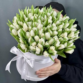 101 белый тюльпан в коробке