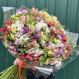 51 разноцветная альстромерия