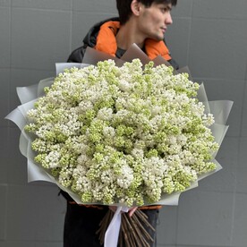 Ароматный белый  сирень premium