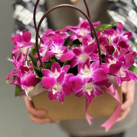 Фиалетовый дендробиум в сумочке