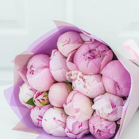 Розовые пионы Сара Бернар