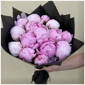 Розовые пионы Сара Бернар в черной упаковке