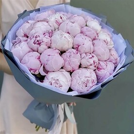 25 ароматных пион