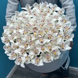 Белая орхидея в коробке