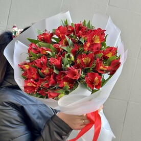 Яркая альстромерия