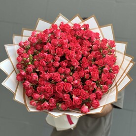 Малиновая кустовая Роза