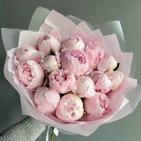 Изысканный букет из 15 розовых пионов