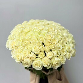 Букет 101 роза белая, красивый букет цветов высота 50 см, букет живых цветов, Россия, арт: 1623