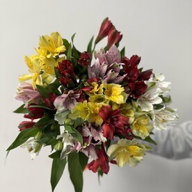 Букет из 13 альстромерий микс под ленту, арт: 3128