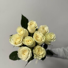 Букет из 9 белых роз Эквадор 50 см под ленту, арт: 3124