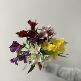 Букет из 5 альстромерий микс под ленту, арт: 3125