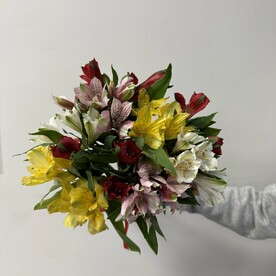 Букет из 11 альстромерий микс под ленту, арт: 3127