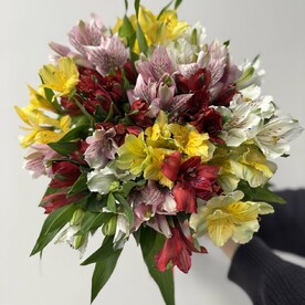 Букет из 17 альстромерий микс под ленту, арт: 3130
