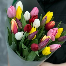 Букет живых цветов - 25 тюльпанов микс, размер М, высота 40 см, Голландия | Турбофлора, арт: 7101