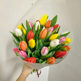 Букет живых цветов - 15 Тюльпанов Микс, монобукет, S, высота 40см, Голландия | Турбофлора, арт: 7100