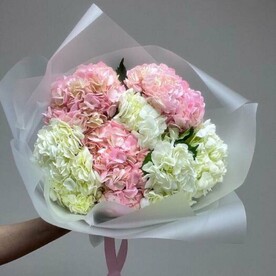 Букет из 7 гортензий